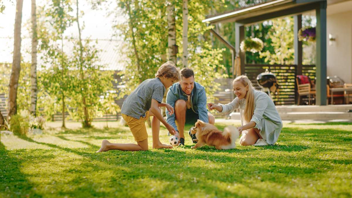 Dog Training For Families